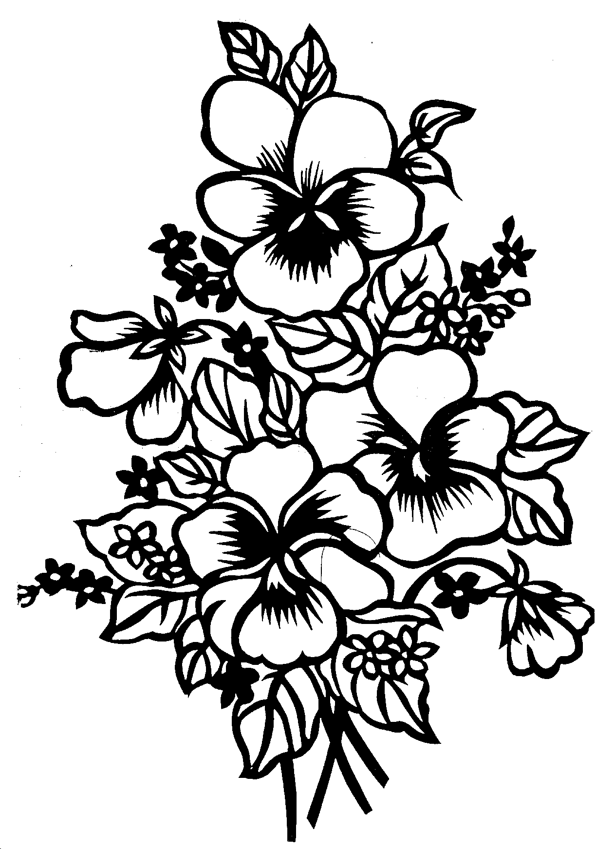 Цветы черно-белые Анютины глазки