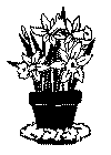 enklebuket_05.gif (34535 byte)