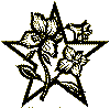 enklebuket_11.gif (6444 byte)