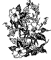 enklebuket_14.gif (23770 byte)