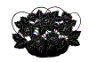 krukke_10.gif (28581 byte)