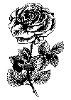 rose_05.gif (34590 byte)