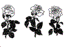rose_08b.gif (14600 byte)