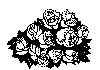 rose_09.gif (37125 byte)