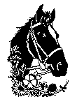 hest1.gif (16699 byte)