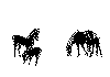 hest6a.gif (24540 byte)