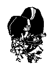 HAT_1_.gif (16465 byte)