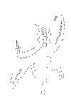 HAT_8_.gif (12023 byte)