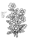 enk_blomst_01.gif (25760 byte)