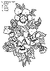 enk_blomst_02.gif (29787 byte)