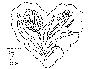 enk_blomst_04.gif (19938 byte)