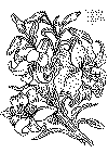 enk_blomst_09.gif (39516 byte)