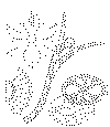 enk_blomst_11b.gif (10803 byte)