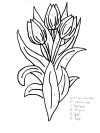 enk_blomst_21.gif (79859 byte)