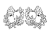 frugt_02c.gif (22382 byte)