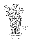 krukke_01.gif (3128 byte)