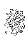 krukke_06.gif (22349 byte)