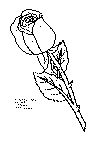 rose_01.gif (14525 byte)