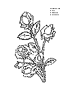 rose_02.gif (17946 byte)