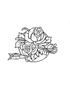 rose_05.gif (37145 byte)
