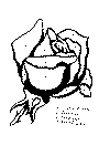 rose_12.gif (15235 byte)