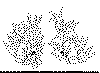 uro_02c.gif (10263 byte)