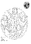 vindue_03.gif (3254 byte)